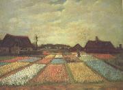 Vincent Van Gogh Bulb Fields (nn04) oil on canvas